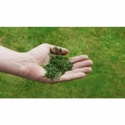 Bestes Angebot 😉 Einhell Benzin-Rasenmäher GC-PM 52/2 S HW 🥰 -Einhell Verkäufe 2023 unnamed file 1627