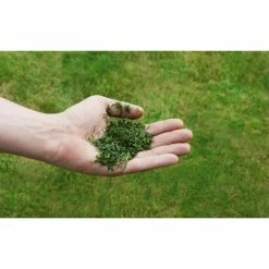 Schlussverkauf 😉 Einhell Benzin-Rasenmäher GC-PM 51/3 S HW 👍 -Einhell Verkäufe 2023 unnamed file 1697