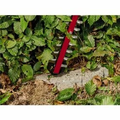 Top 10 ⌛ Einhell Power X-Change Akku-Heckenschere ARCURRA 18/55 ❤️ 18 Top 10 ⌛ Einhell Power X-Change Akku-Heckenschere ARCURRA 18/55 ❤️ -Einhell Verkäufe 2023 unnamed file 2329