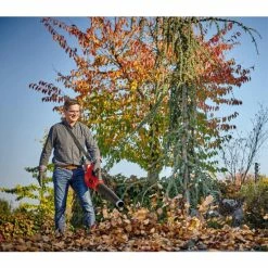 Top 10 😀 Einhell Power X-Change Akku-Laubbläser GE-LB 36/210 Li E-Solo ⭐ -Einhell Verkäufe 2023 unnamed file 3427