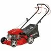 Blitzangebot 🎉 Einhell Benzin-Rasenmäher GC-PM 40/2 S 😀