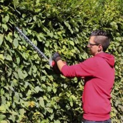 Billig 👍 Einhell Elektro-Heckenschere GC-EH 6055 ⭐ -Einhell Verkäufe 2023 unnamed file 5706