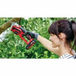 Auslauf 🔥 Akku-Astsäge 18Li Mit 2,5 Ah Akku Und Ladegerät GE-GS Einhell 🎁 -Einhell Verkäufe 2023 unnamed file 5877