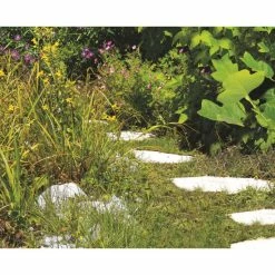 Blitzangebot 😍 Einhell Akku-Gras- Und Strauchschere GE-CG 12 Li WT 🤩 -Einhell Verkäufe 2023 unnamed file 6677