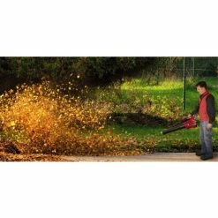 Beste Bewertungen von 🎁 Einhell Power X-Change Akku-Laubbläser GE-LB 36 Li E-Solo 🥰 -Einhell Verkäufe 2023 unnamed file 6957