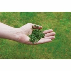 Neu 🎉 Einhell Power X-Change Akku-Rasenmäher GE-CM 36/43 Li M-Solo ⭐ -Einhell Verkäufe 2023 unnamed file 938